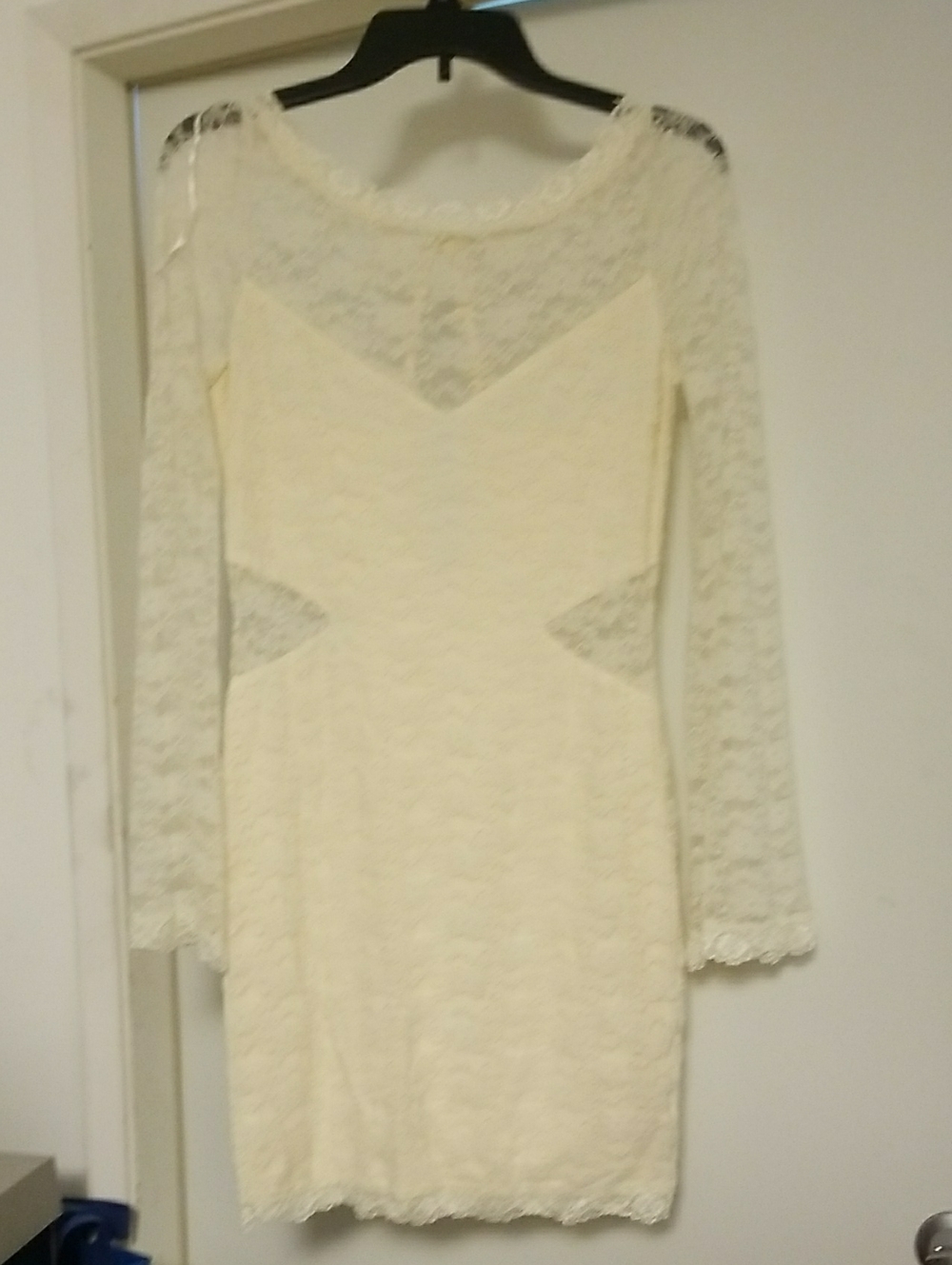 Free People M Lace Long-Sleeve Sheath Dress in Ivory